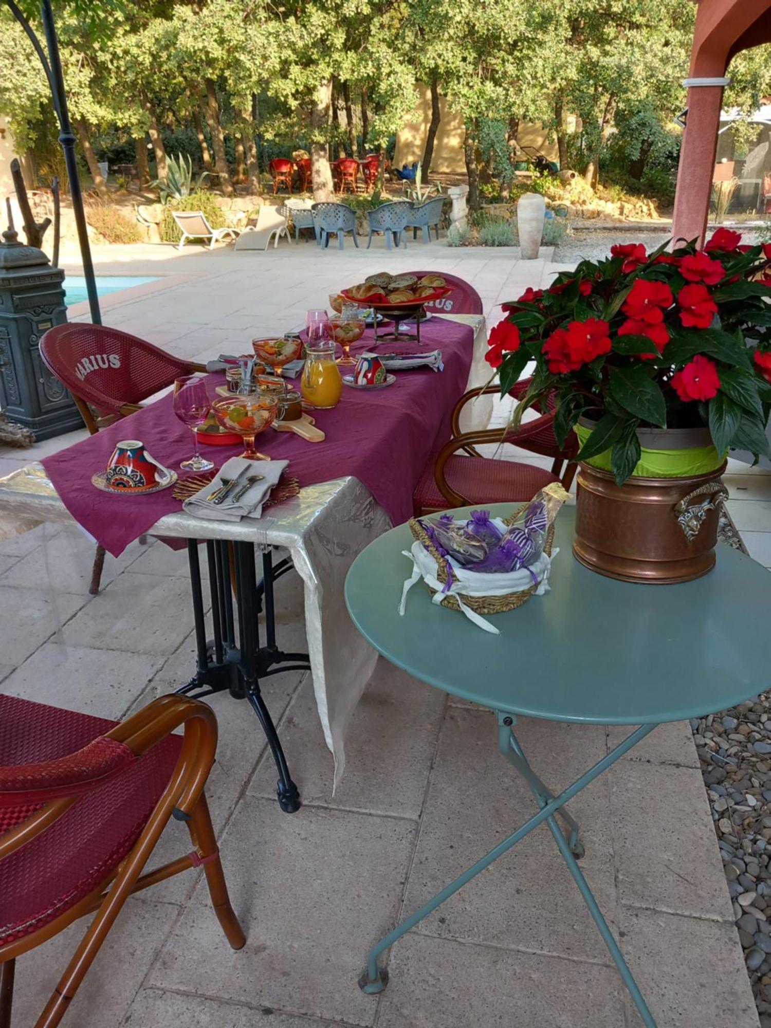 Bed and Breakfast Les Lézards au Soleil Draguignan Exterior foto
